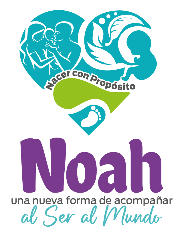 drsonoranoahnacerconproposito.com