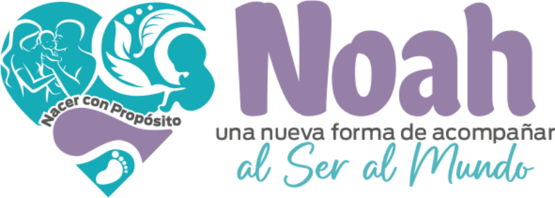 drsonoranoahnacerconproposito.com